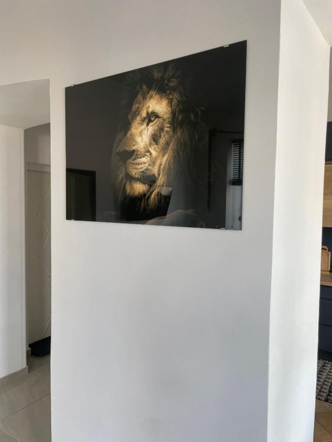 Apartmán Apartament W Centrum Przy Studni 102M2 Chełm Exteriér fotografie